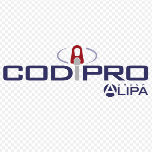 法國 CODIPRO-吊環 -SG